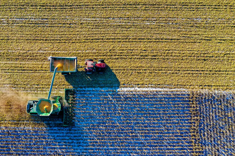 Farming equipment harvesting corn in a field